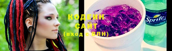 шишки Заволжск