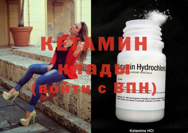 шишки Заволжск