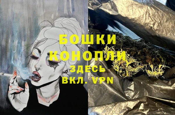 шишки Заволжск
