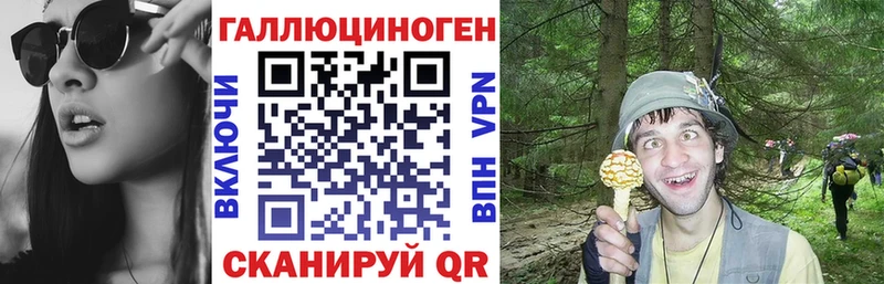 Купить закладки  Уварово  Галлюциногенные грибы Psilocybe 