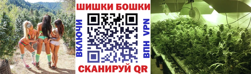 Купить закладки  Уварово  Шишки марихуана LSD WEED 